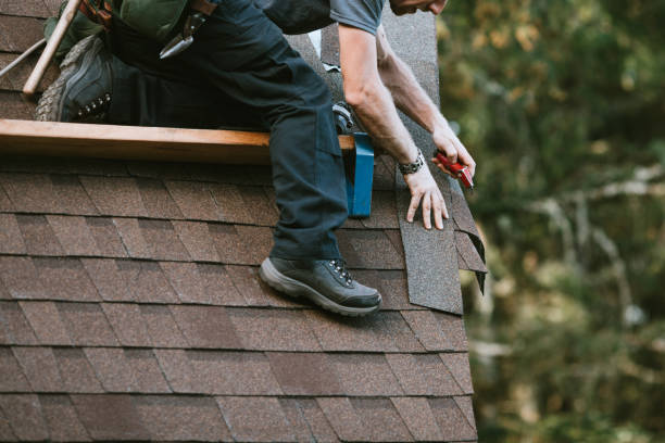 Roof Waterproofing Services in Dane, WI