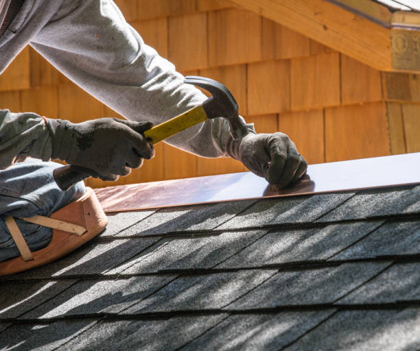 Best Roof Repair Services  in Dane, WI
